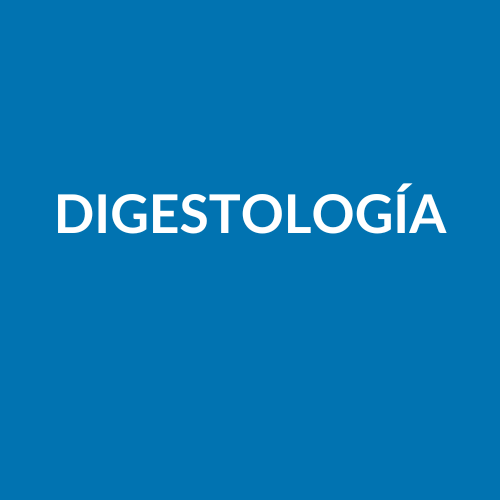 ESPECIALIDADES (4)